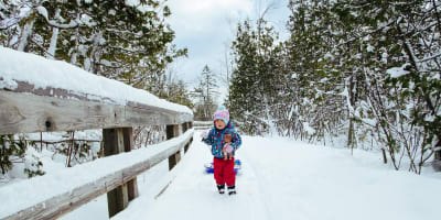 Marais de la Rivière aux cerises.