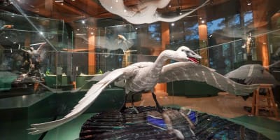 Marais de la Rivière aux cerises