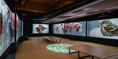 Marais de la Rivière aux cerises