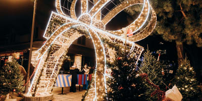 Marché des Fêtes de Dorval