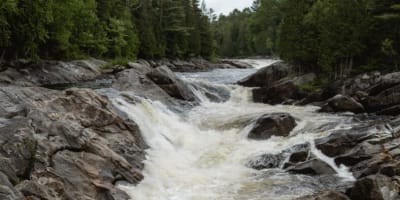 Chute au parc nature.