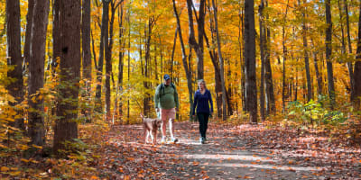 Hiking at Mont Rigaud.