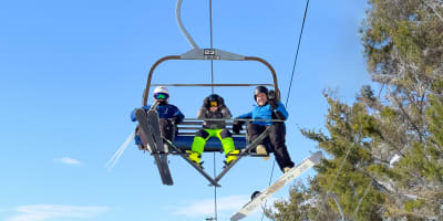 Unlimited Family Plan Promotion