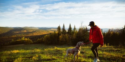 Une femme et son chien en randonnée au Mont-Sainte-Anne.