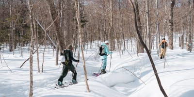 Randonnée alpine au Mont-Sainte-Anne.