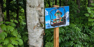 Mont SUTTON: Cherche et Trouve Nature 