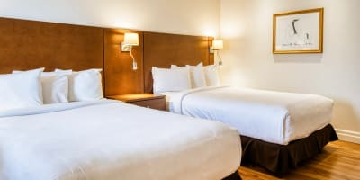 Motel Mistral - Room with two beds