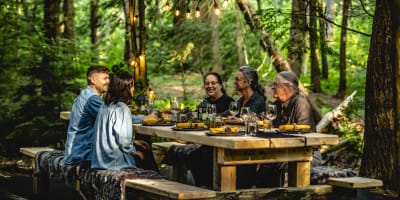 Table de dégustation en forêt.