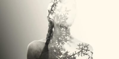 Musée de la Civilisation.