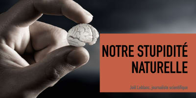 Notre stupidité naturelle – La science face à nos cerveaux rebelles.