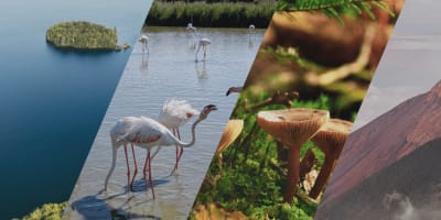 Science Bar: Climate and Biodiversity at the Musée de la nature et des sciences de Sherbrooke on May 20, 2026.