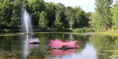 Promenade scientifique au Domaine-Howard.
