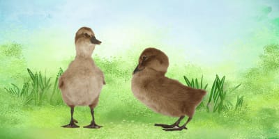 Activities for the long spring break.