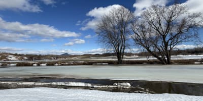 A Spring Perspective – Nature Photography Workshop.