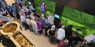 Aquarium - Musée du Fjord.