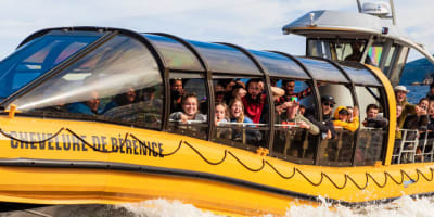 Fjord and Whale Watching Cruise
