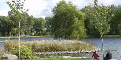 Un couple assis sur le bord de l'eau au Parc Angrignon.