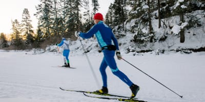 Parc de la Rivière-du-Moulin - Two people are cross-country skiing