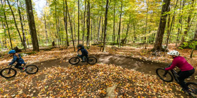 Trois personnes en vélo de montagne au Parc vélo Sommet Saint-Sauveur.