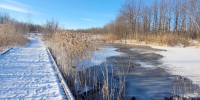 A footbridge and a pond covered in snow in winter.
