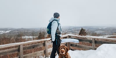 Belvédère en hiver avec un randonneur et un chien au Parc des Montagnes Noires de Ripon.