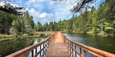Passerelle en bois sur un plan d'eau en été. 