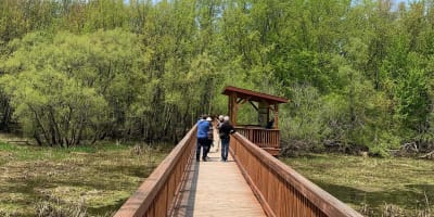 Hikers on the wooden walkway.