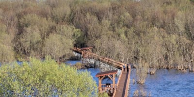 Wooden footbridge over a lake in spring.
