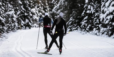 Parc linéaire Le P'tit Train du Nord