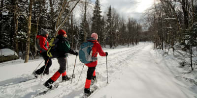 Ski de fond au Parc national de Frontenac.