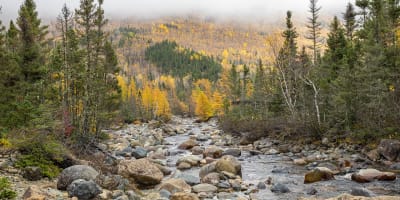Paysage automnal du Parc national de la Gaspésie.