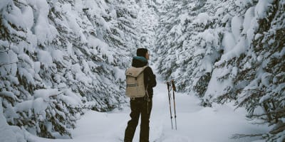 Une personne entourée de sapins enneigés au Parc national de la Gaspésie.