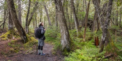 Hiker observing nature on a trail. 