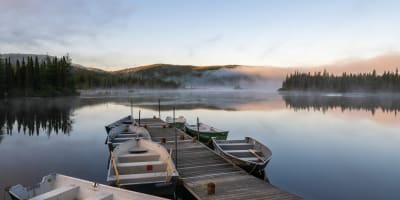 Des chaloupes amarrées au Parc national des Grands-Jardins.