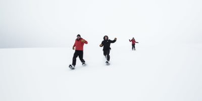 Des amis en raquettes au Parc national d'Oka.