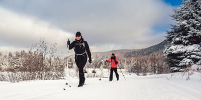 Cross-country skiing in Mont-Tremblant National Park.