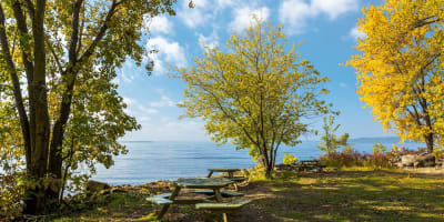 Parc-nature du Cap-Saint-Jacques