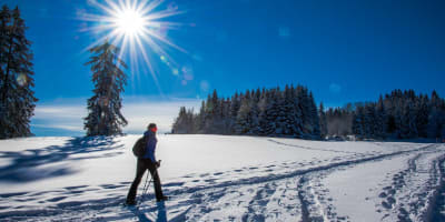 Snowshoeing at Parc Octopus.