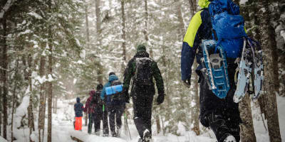 Un groupe faisant de la raquette au Parc régional Montagne du Diable.