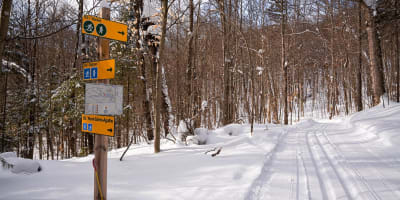 Piste de ski de fond au Parc régional Sainte-Agathe-des-Monts.
