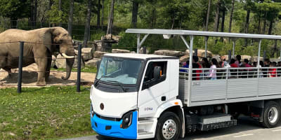 Company and group outing at Parc Safari