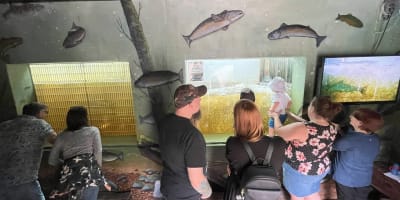 Visitors watching the salmon run.
