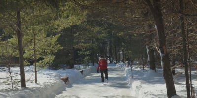 Personne patine au Patinage en forêt.