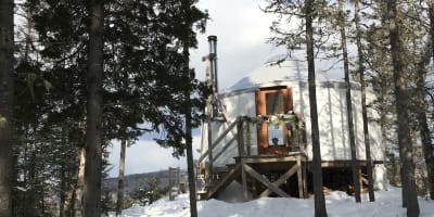 alfred_le_voisin_doscar_1_h