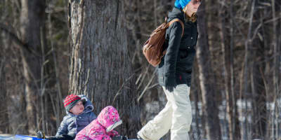 arboretum_morgan_1_h