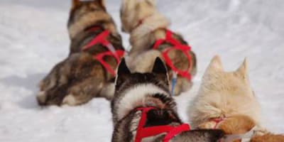 aventures_nouvelle_france_1_h