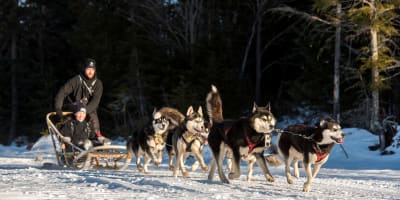 aventures_plein_air_1_h