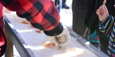 cabane_a_sucre_damours_1