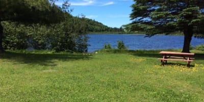 camping_ceraro_sauvage_1