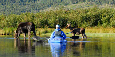 camping_de_la_reserve_faunique_de_matane_2